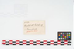 Etikett zu Keramikschale (NHMW-PRAE-003491)